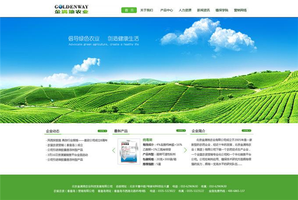 簡陋的企業網站